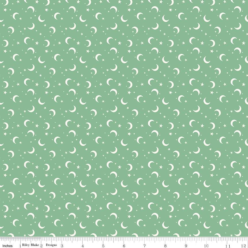 Frank and Friends Moon & Stars Green by My Mind's Eye for Riley Blake Designs - C17477-GREEN