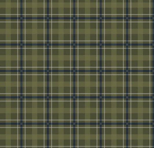 Flannel Cretaceous Plaid Forest by Amanda Niederhauser for Riley Blake Designs - F17506-FOREST