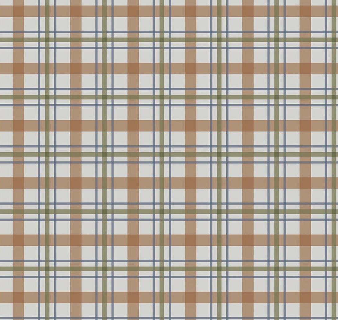 Flannel Cretaceous Plaid Gray by Amanda Niederhauser for Riley Blake Designs - F17506-GRAY
