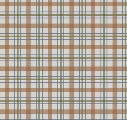 Flannel Cretaceous Plaid Gray by Amanda Niederhauser for Riley Blake Designs - F17506-GRAY