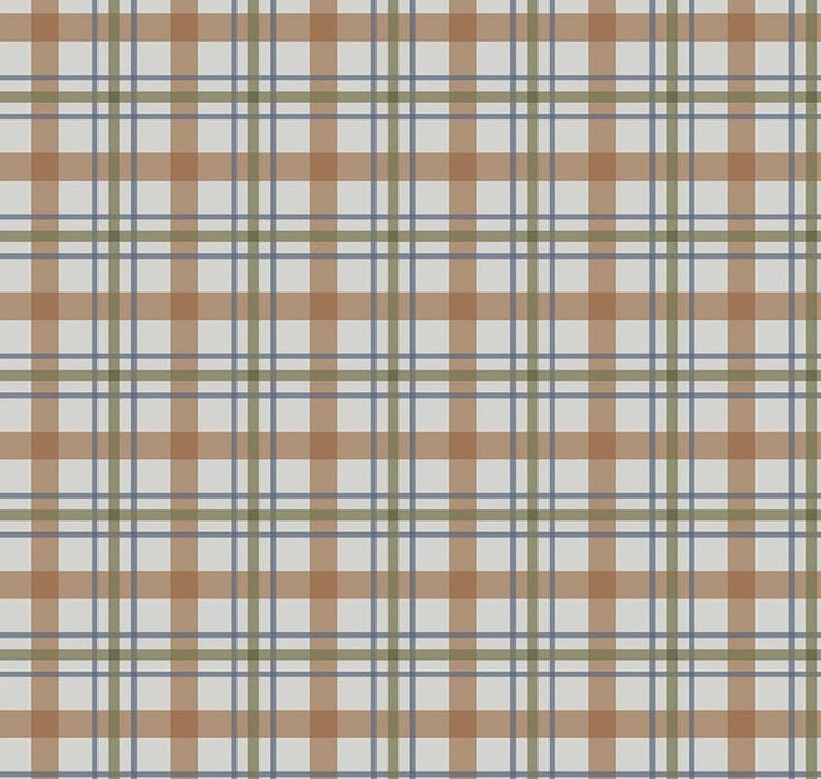 Flannel Cretaceous Plaid Gray by Amanda Niederhauser for Riley Blake Designs - F17506-GRAY