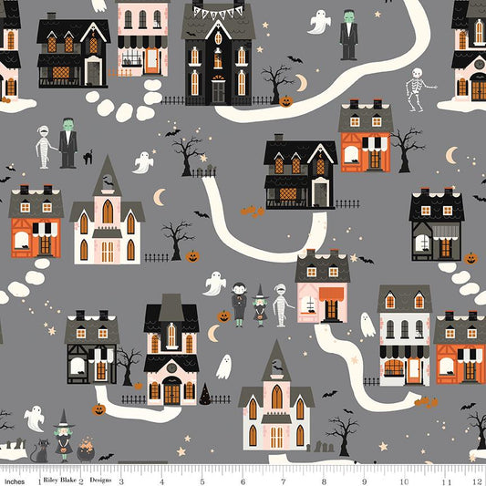 Frank and Friends Houses Gray by My Mind's Eye for Riley Blake Designs - C17471-GRAY