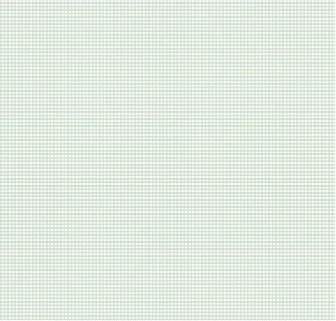 Flannel Micro Gingham Sweet Mint by The RBD Designers for Riley Blake Designs - F17514-SWEETMINT