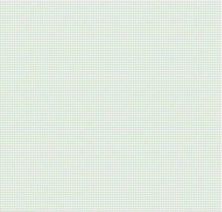 Flannel Micro Gingham Sweet Mint by The RBD Designers for Riley Blake Designs - F17514-SWEETMINT