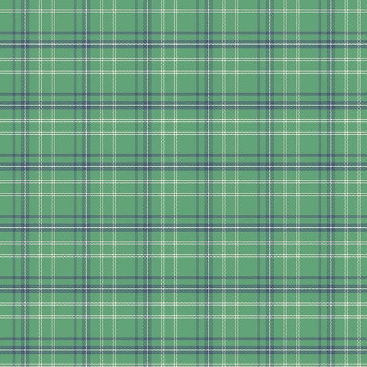 Happy Haven Plaid Green by Shawn Wallace for Riley Blake Designs - C17625-GREEN