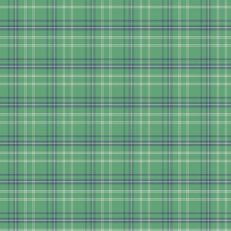 Happy Haven Plaid Green by Shawn Wallace for Riley Blake Designs - C17625-GREEN