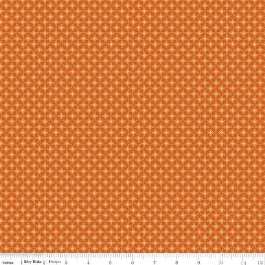 Bountiful Geometric Autumn by Sandy Gervais for Riley Blake Designs - C17867-AUTUMN