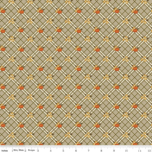Bountiful Pumpkin Plaid Sage by Sandy Gervais for Riley Blake Designs - C17862-SAGE