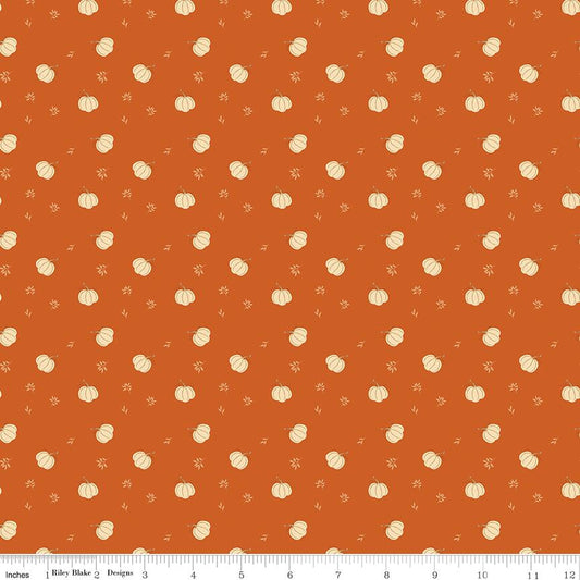 Bountiful Pumpkins Autumn by Sandy Gervais for Riley Blake Designs - C17864-AUTUMN