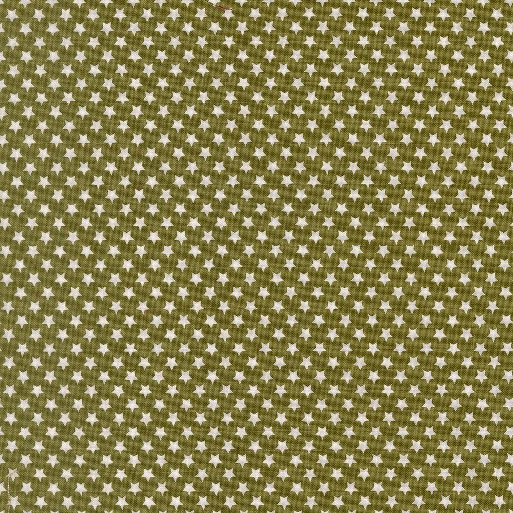 Chilly Star Bright Blenders Star Pine by Sweetwater for Moda Fabrics - 55714 23