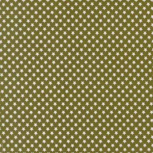 Chilly Star Bright Blenders Star Pine by Sweetwater for Moda Fabrics - 55714 23