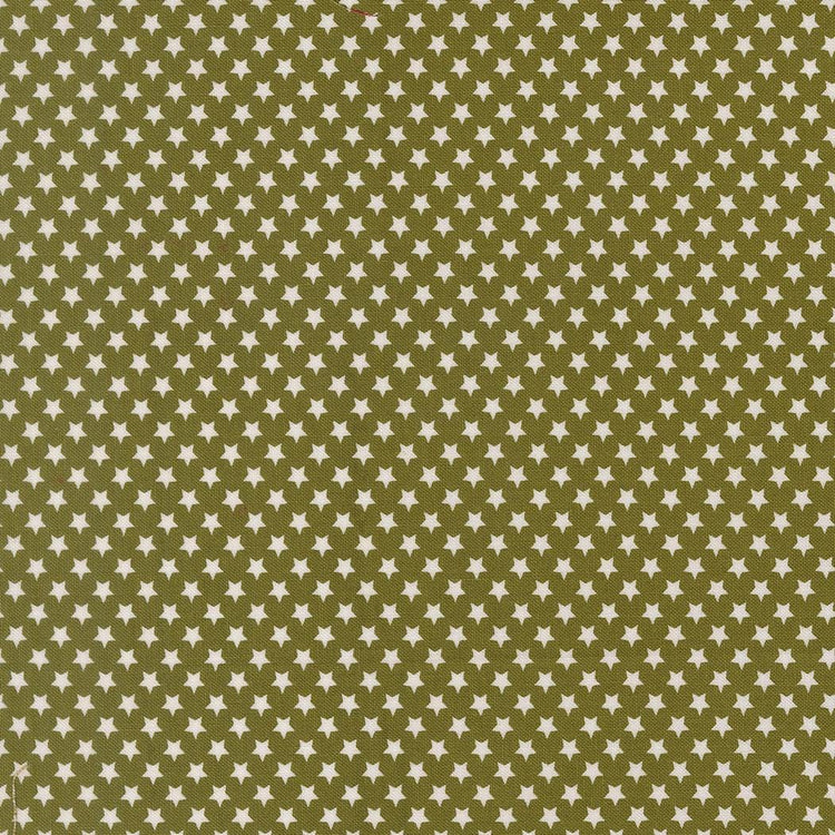 Chilly Star Bright Blenders Star Pine by Sweetwater for Moda Fabrics - 55714 23