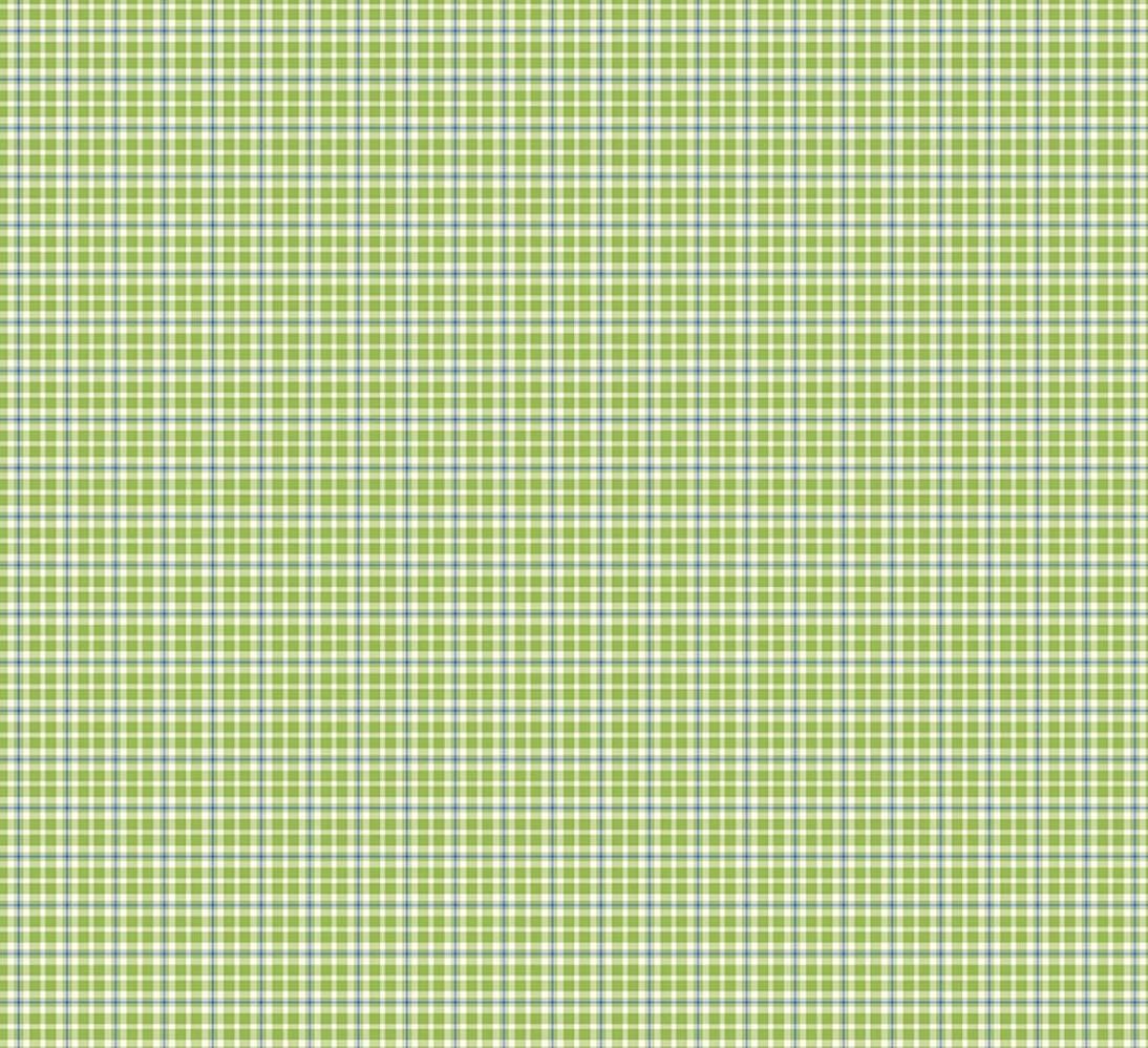 Summer's in Town Plaid Green by Sandy Gervais for Riley Blake Designs - C17536-GREEN