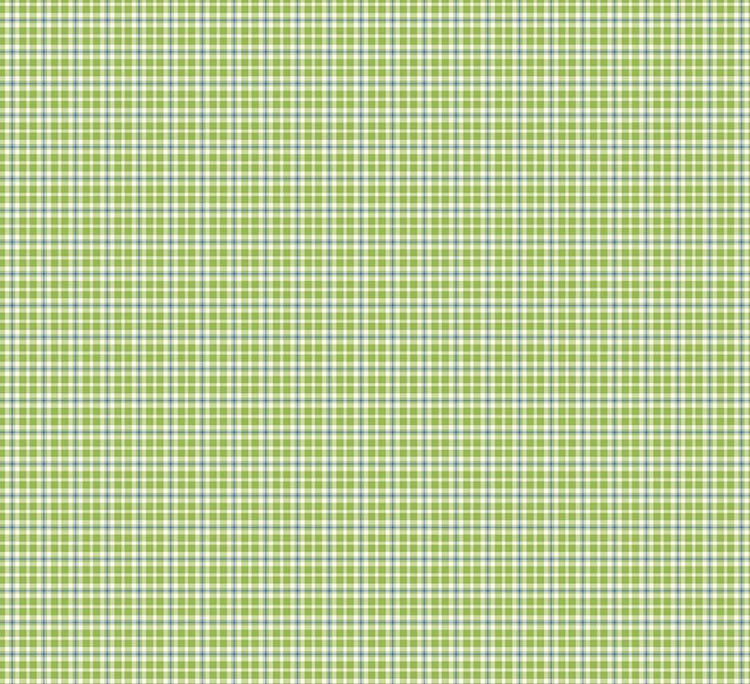 Summer's in Town Plaid Green by Sandy Gervais for Riley Blake Designs - C17536-GREEN