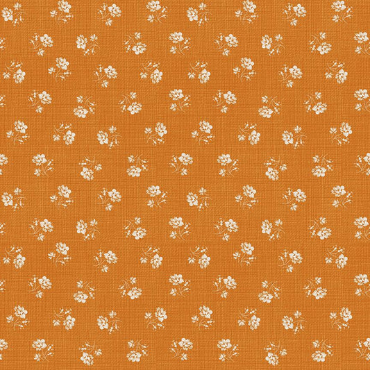 Baked With Love Heirloom Amber by Lori Holt for Riley Blake Designs - C17790-AMBER