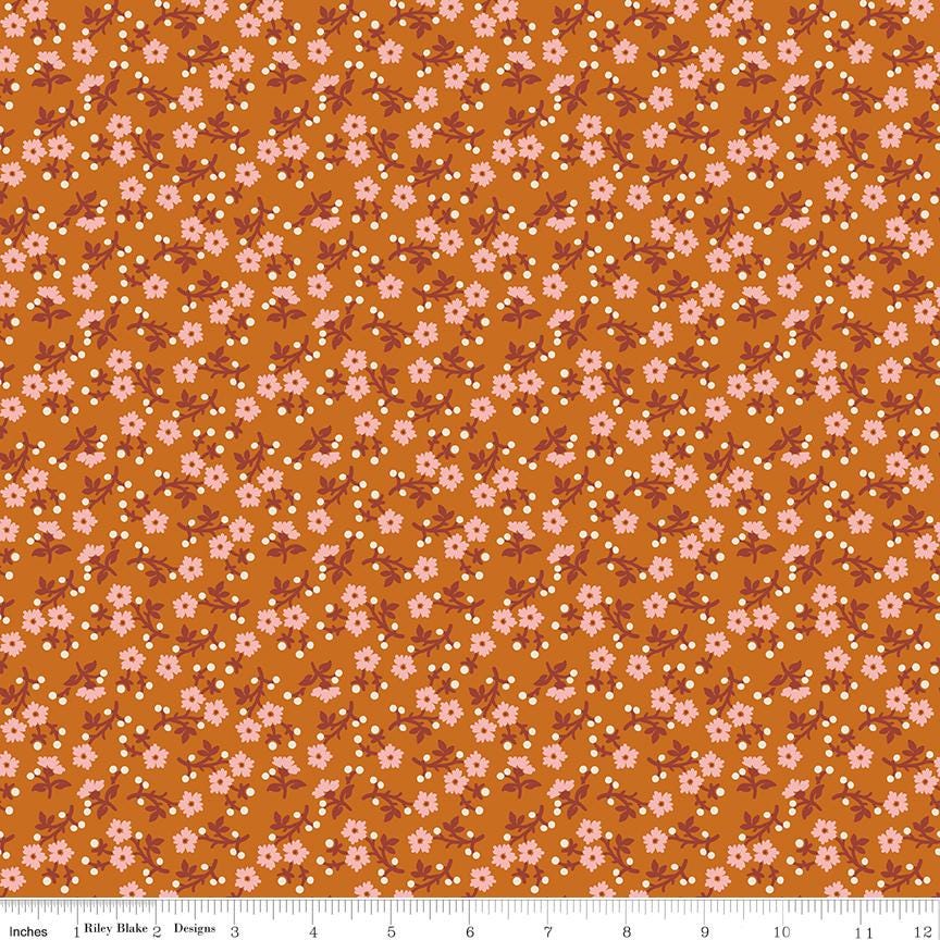Baked With Love Grateful Amber by Lori Holt for Riley Blake Designs - C17782-AMBER