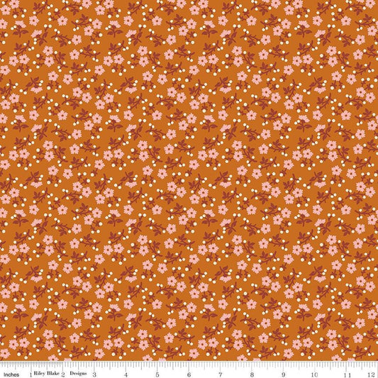 Baked With Love Grateful Amber by Lori Holt for Riley Blake Designs - C17782-AMBER