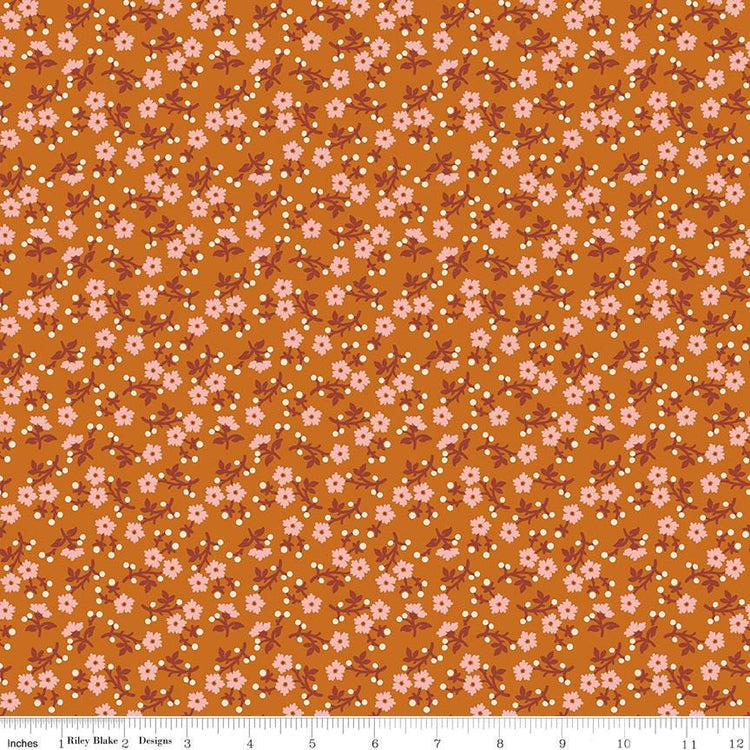 Baked With Love Grateful Amber by Lori Holt for Riley Blake Designs - C17782-AMBER