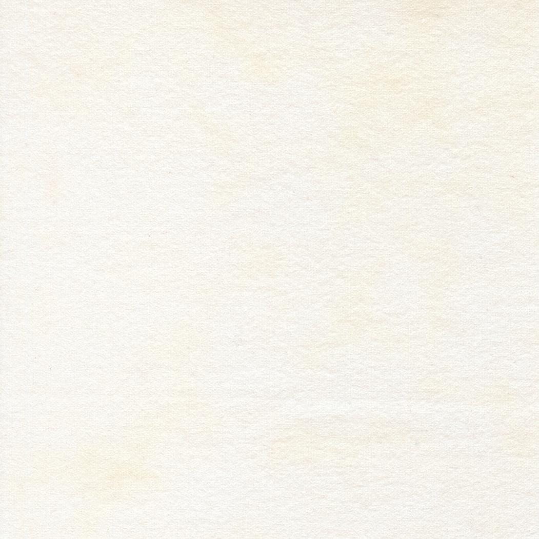 Flannel Gatherings Primitive Muslin Flannel Basics Cloud by Primitive Gatherings for Moda Fabrics - 1040 91F