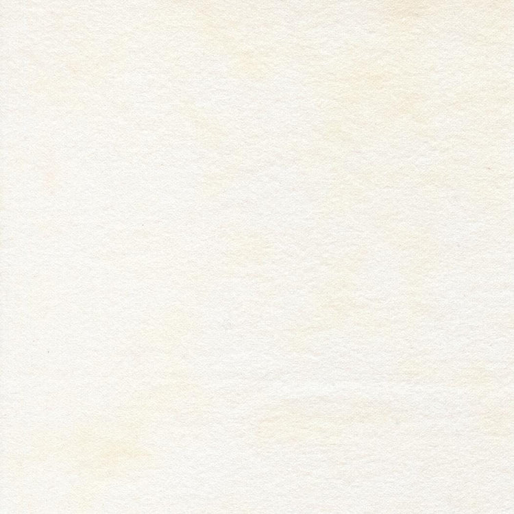 Flannel Gatherings Primitive Muslin Flannel Basics Cloud by Primitive Gatherings for Moda Fabrics - 1040 91F