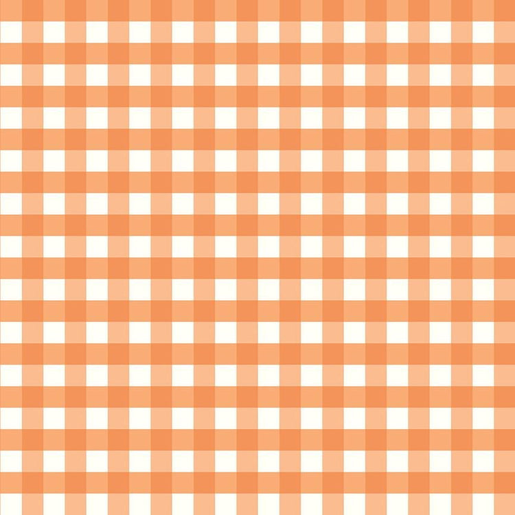 Flannel Love You to the Moon Gingham Orange