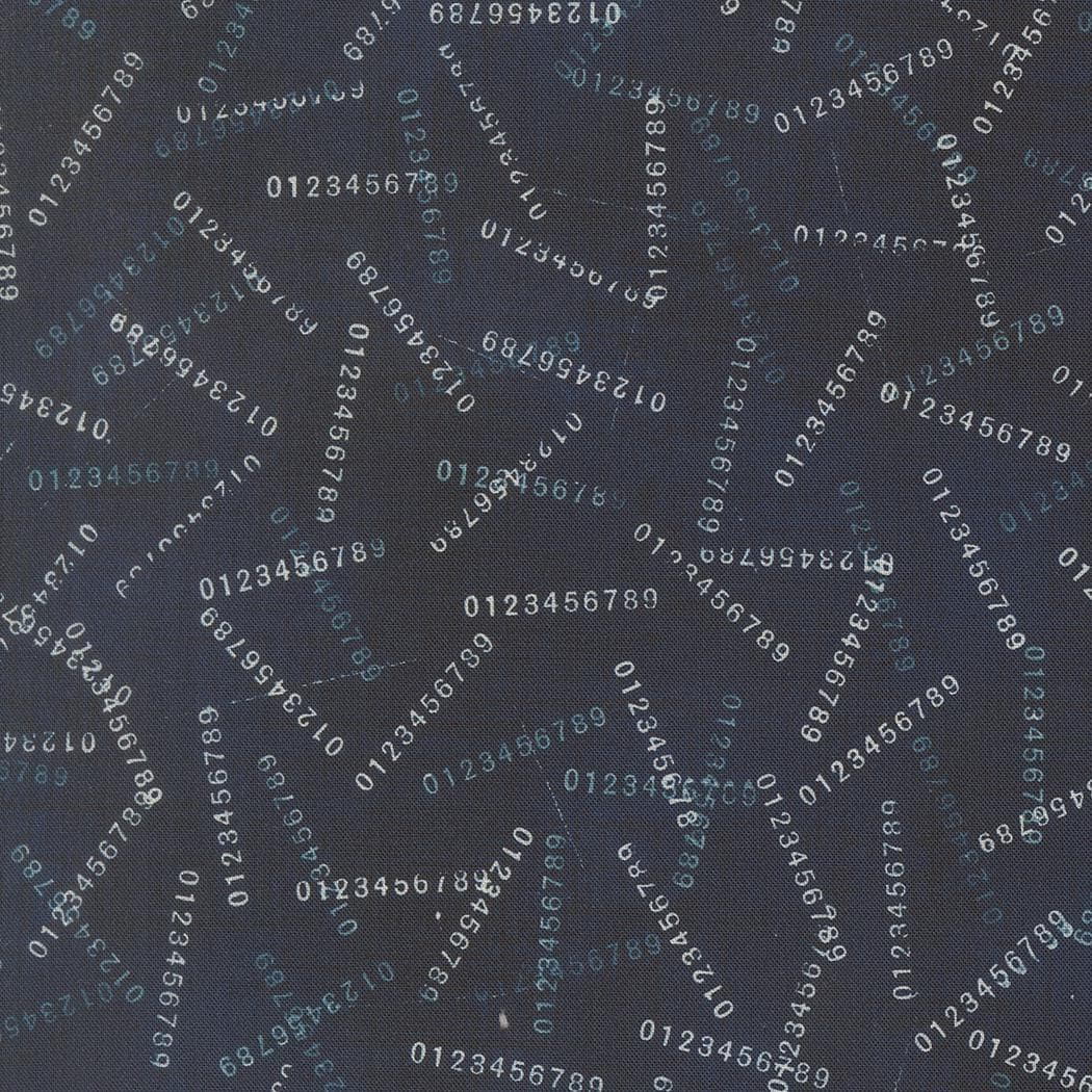 Data Digits Blenders Hawking by Janet Clare for Moda Fabrics - 24672 15