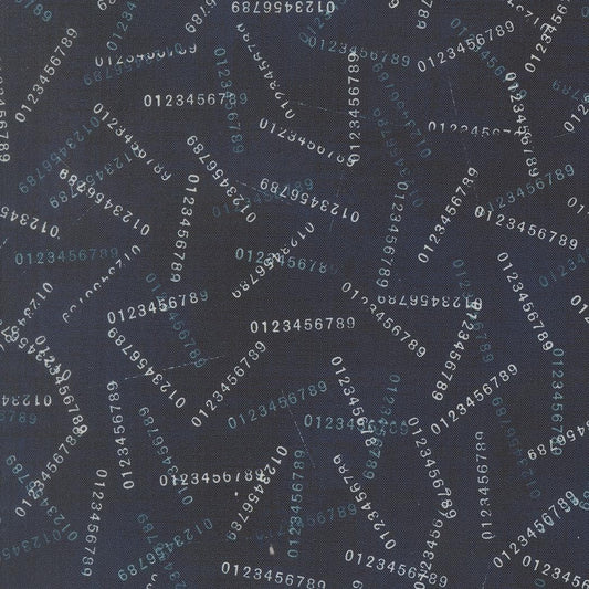 Data Digits Blenders Hawking by Janet Clare for Moda Fabrics - 24672 15