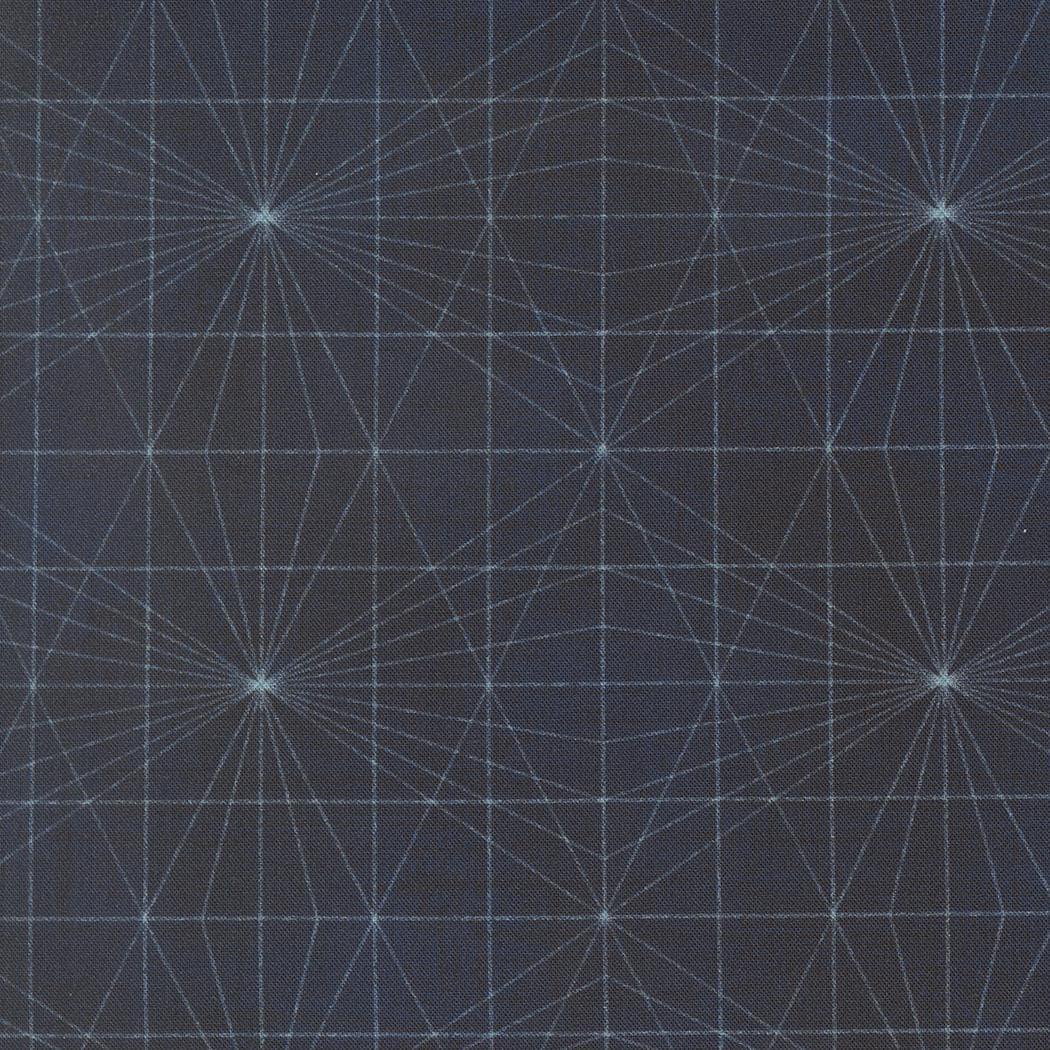 Data String Theory Hawking by Janet Clare for Moda Fabrics - 24674 16