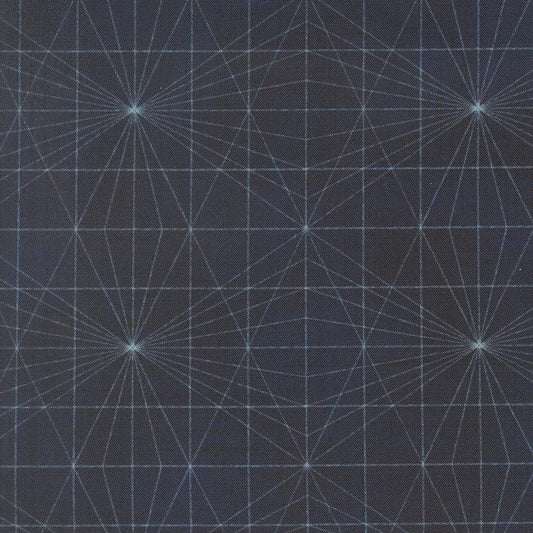 Data String Theory Hawking by Janet Clare for Moda Fabrics - 24674 16