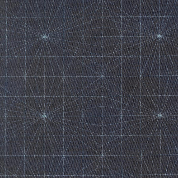 Data String Theory Hawking by Janet Clare for Moda Fabrics - 24674 16
