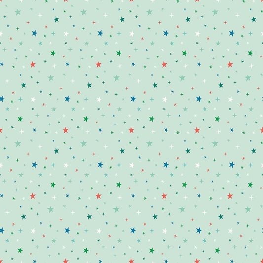 Brave Your Way Beyond the Stars Mint by Cayla Naylor for Riley Blake Designs - C18314-MINT