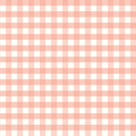 Flannel Love You to the Moon Gingham Coral