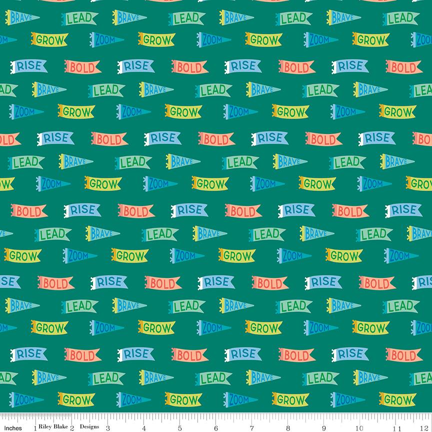 Brave Your Way Beyond Brave Banners Everest by Cayla Naylor for Riley Blake Designs - C18312-EVEREST