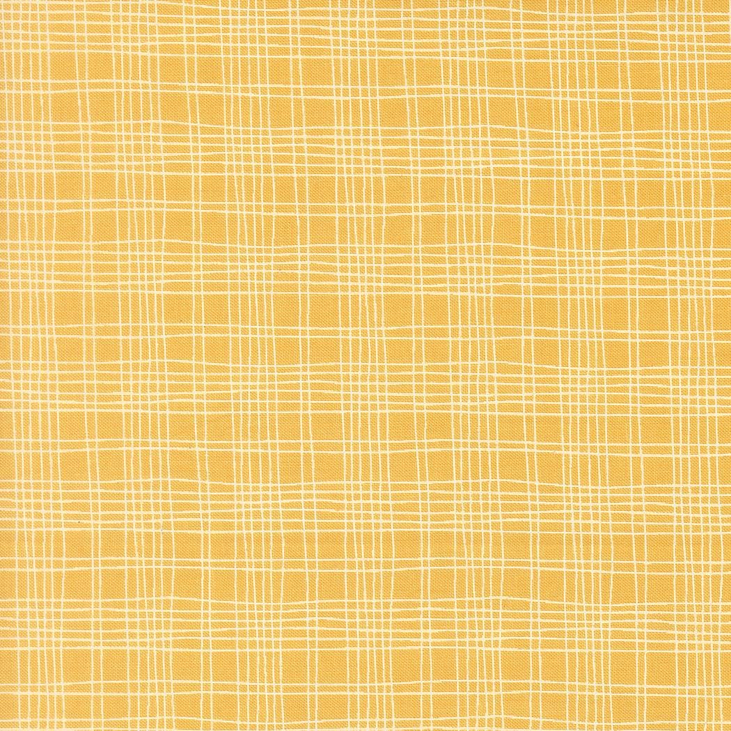 Bug Collector Plaid Checks and Plaids Sunshine by Sweetwater for Moda Fabrics - 55737 15