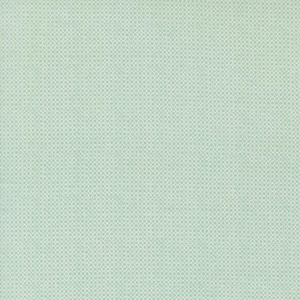 Bug Collector Bug Net Blenders Dots Sky by Sweetwater for Moda Fabrics - 55738 12