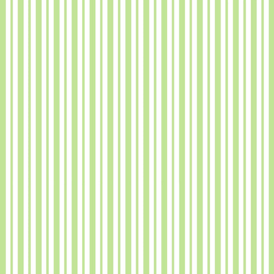 Green Mini Awning Stripe Designed by Kim Christopherson of Kimberbell Designs for Maywood Studios