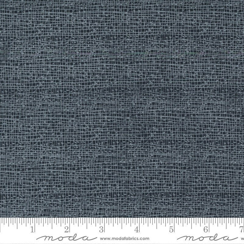 Thatched Chalkboard Scribbl by Robin Pickens for Moda Fabrics (48626 187)