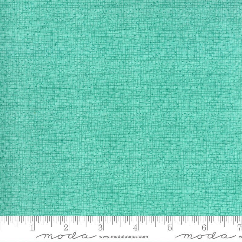 Thatched Cottage Bleu Dewdrop by Robin Pickens for Moda Fabrics (48626 143)