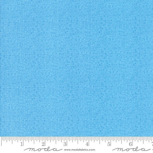 Thatched Sky by Robin Pickens for Moda Fabrics (48626 93)