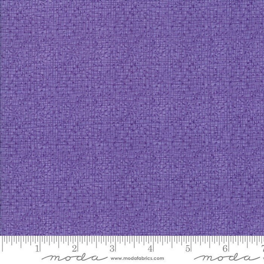 Thatched Aster by Robin Pickens for Moda Fabrics (48626 33)