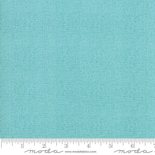 Thatched Abby Rose Seafoam by Robin Pickens for Moda Fabrics (48626 125)