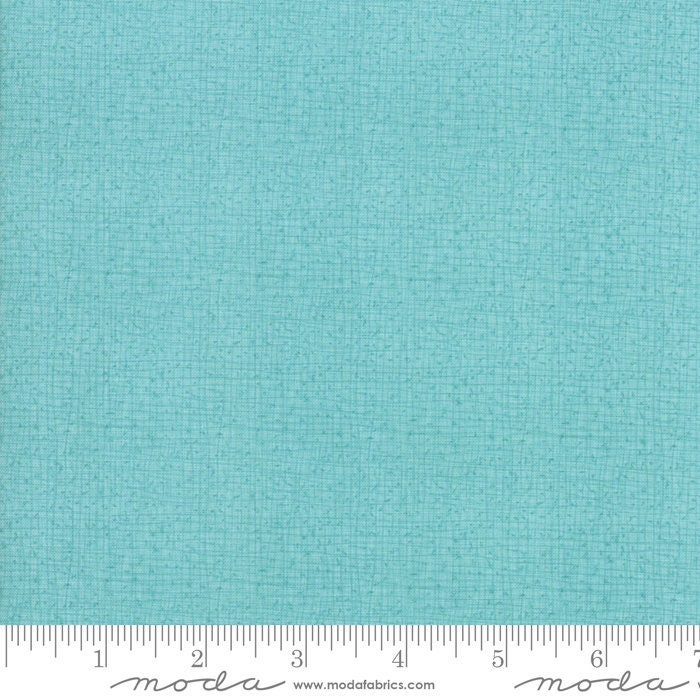 Thatched Abby Rose Seafoam by Robin Pickens for Moda Fabrics (48626 125)
