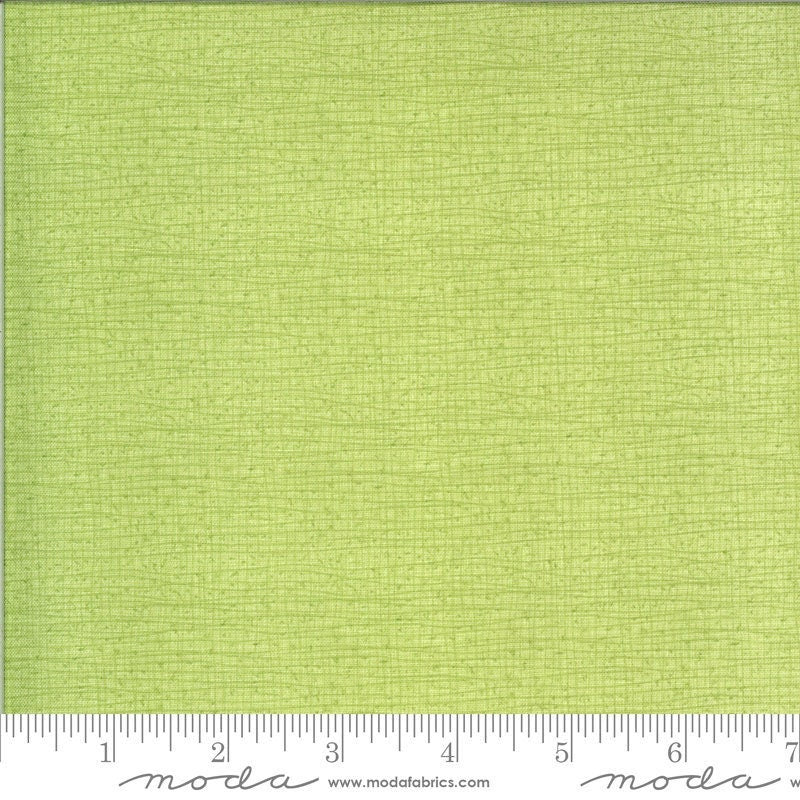 Thatched Meadow by Robin Pickens for Moda Fabrics (48626 134)