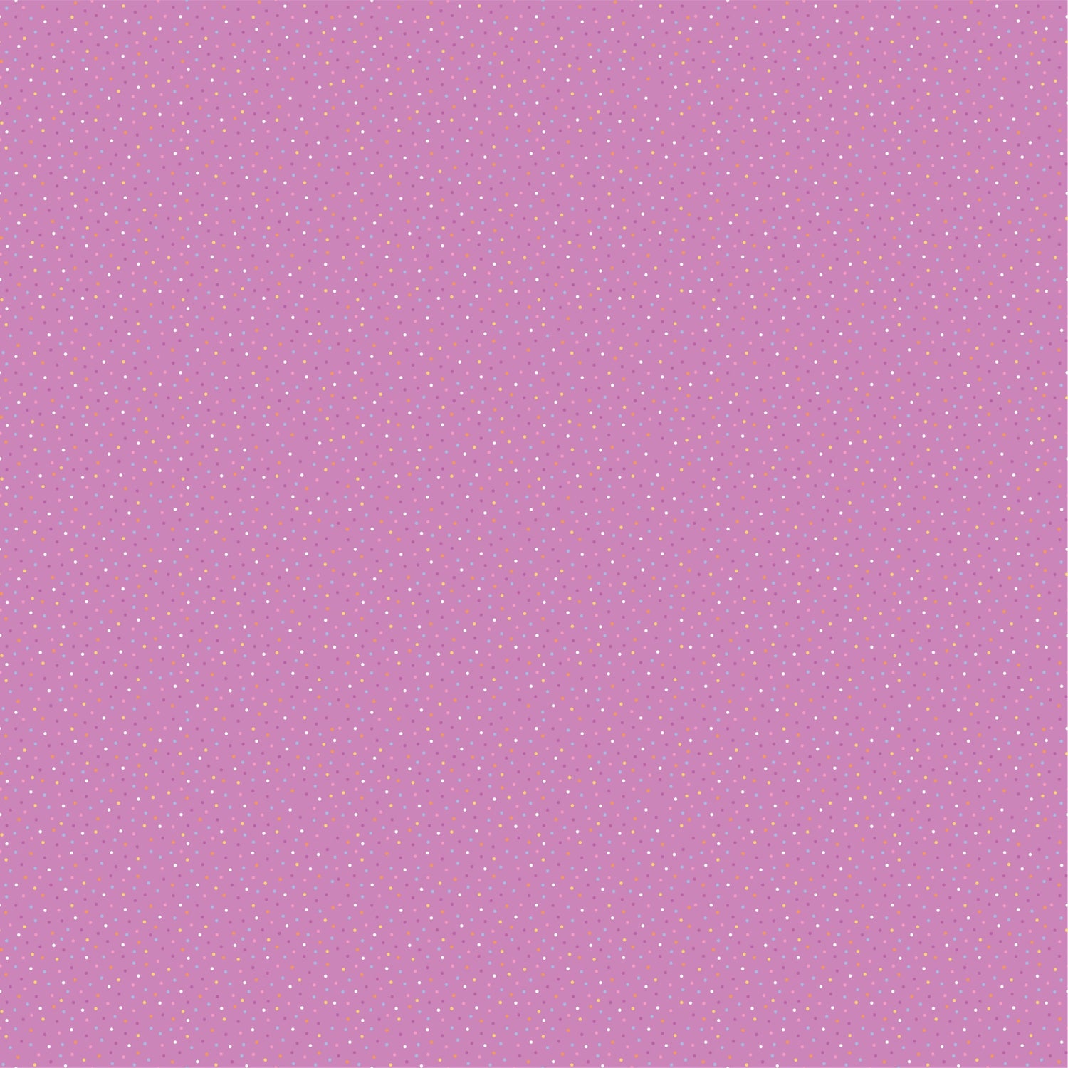 Country Confetti Pansy Bright Purple
