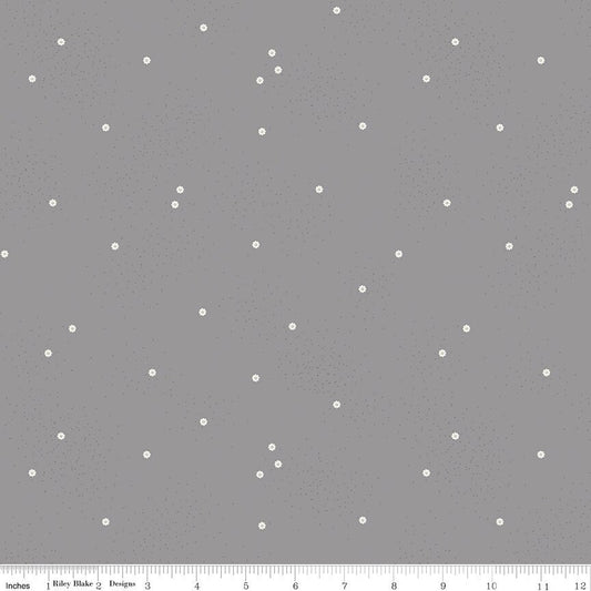 Dainty Daisy Gray