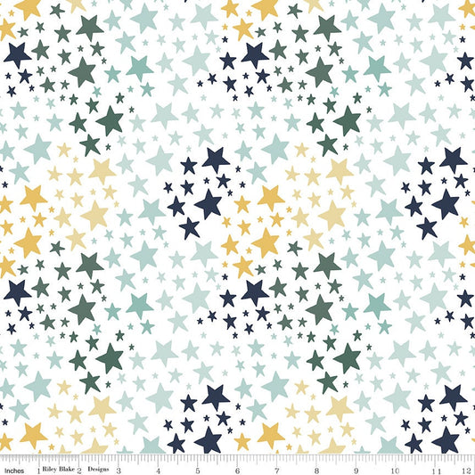 It's A Boy Stars White by Echo Park Paper Co for Riley Blake Designs - C13254-WHITE