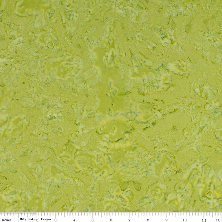 Expressions Batiks Hand-Dyes Sage by Riley Blake Designs - BTHH151