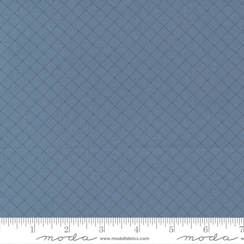 Sunnyside Graph Lakeside by Camille Roskelley of Moda Fabrics - 55283 14