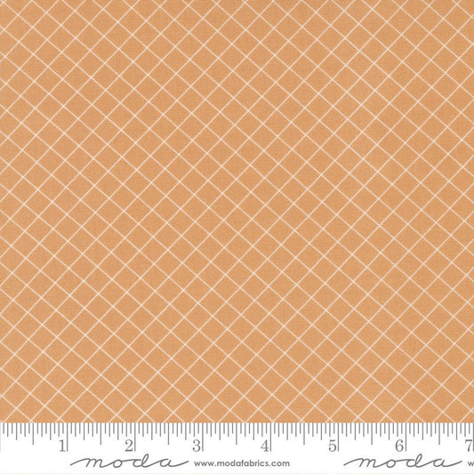Sunnyside Graph Apricot by Camille Roskelley of Moda Fabrics - 55283 18