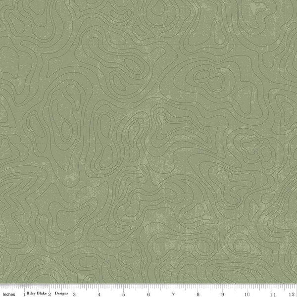 The National Parks Topographic Green by Anderson Design Group for Riley Blake Designs - C13293-GREEN